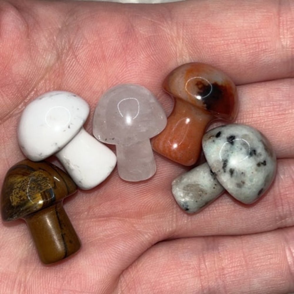 Crystal Magic Mushroom Set